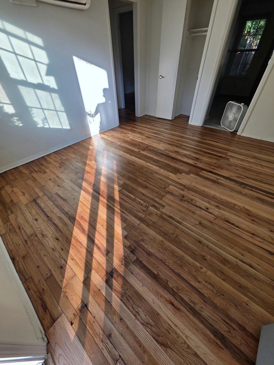 Long bands of sunlight crossing wood grain