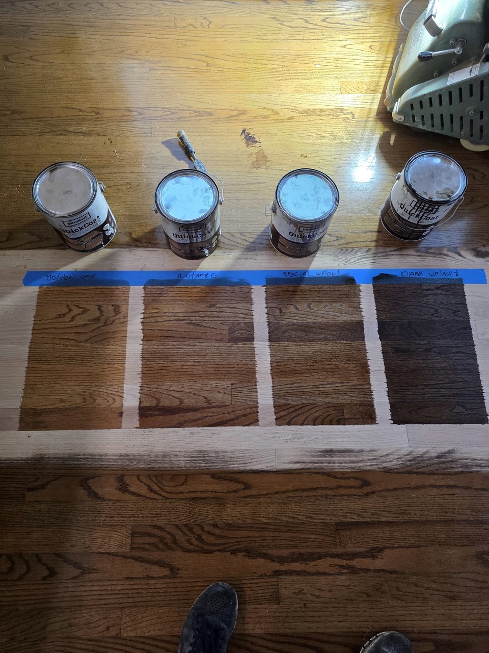 Stain samples arranged on a wood floor
